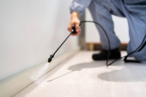 Licensed Termite Control service in Ballinger, TX - Nex Pest Control