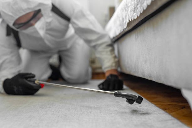 Professional Termite Control technician working in Ballinger, TX