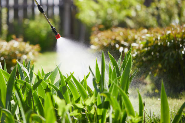 24/7 Emergency Termite Control experts in Ballinger, TX