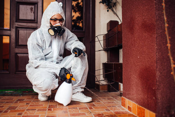 Reliable Termite Control contractor in Ballinger, TX by Nex Pest Control