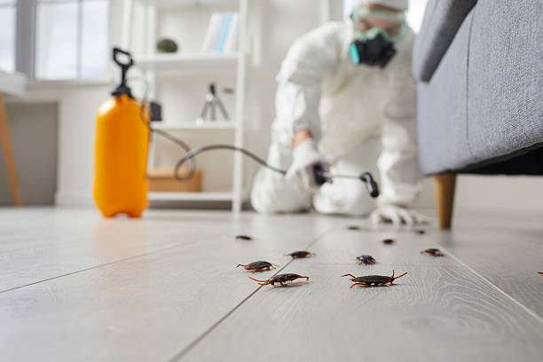 Affordable Termite Control solutions in Ballinger, TX