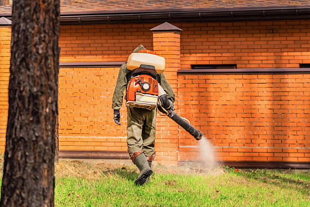 Top rated local Termite Control specialists in Ballinger, TX